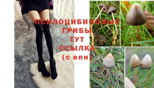 марки nbome Верея