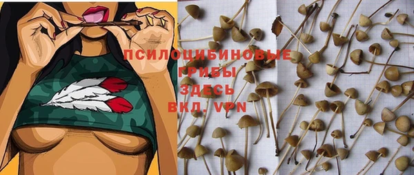 MDMA Premium VHQ Верхнеуральск